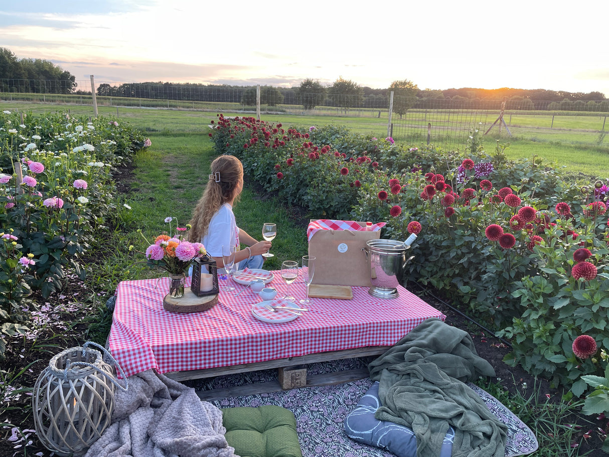 Culinaire picknick in onze bloemenpluktuin met live saxofoon muziek 19/09/2026