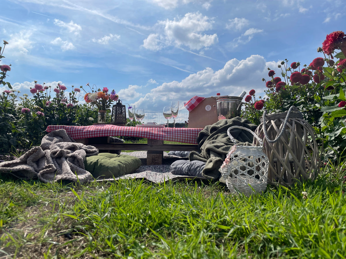 Culinaire picknick in onze bloemenpluktuin met live saxofoon muziek 19/09/2026