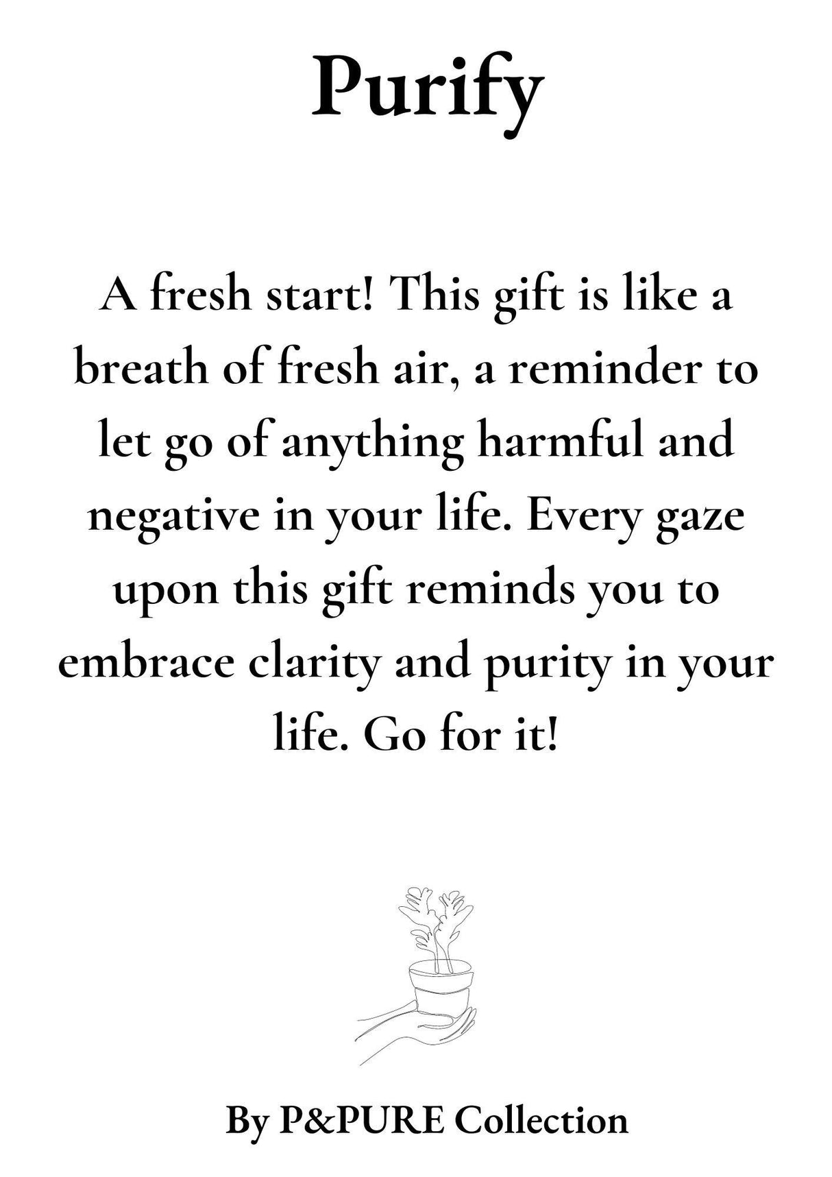 Clusia Rosea Geschenk "Purify" MIT GRUSSKARTE! - Ø12cm - ↕30cm