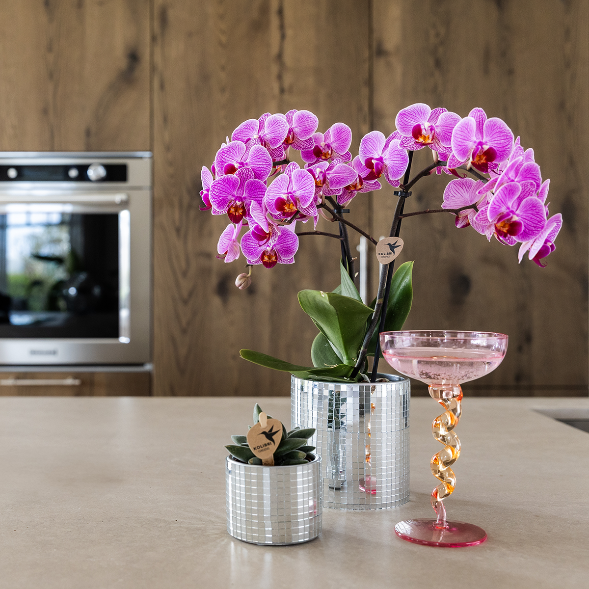 Kolibri Home | Disco sierpot - Ø6cm