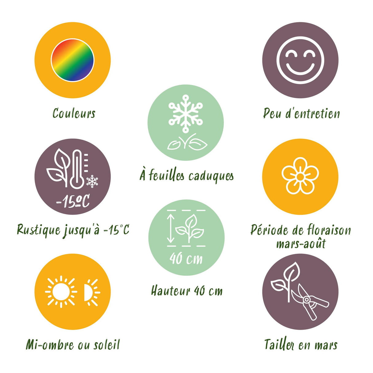 Borderpakket - Bodembedekkend - 8 Vaste planten - 1 m2 - Diversen kleuren - Weinig Onderhoud - Pot 11cm