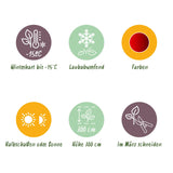 Green boutiQ - Terrasplant - Japanse Esdoorn - Acer palmatum Sumi-nagashi - Rood - 2 Planten - Bladverliezend - Pot 19cm Hoogte 70cm