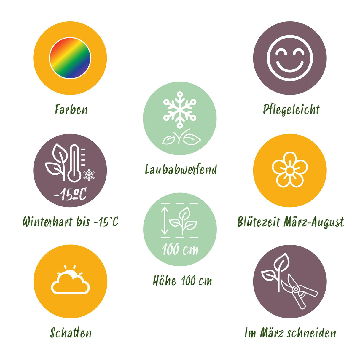 Borderpakket - Schaduw - 8 Vaste planten - 1 m2 - Diversen kleuren - Weinig Onderhoud - Pot 11cm