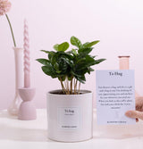 Coffea Arabica Gift "To Hug" WITH GREETING CARD! - Ø12cm - ↕20cm