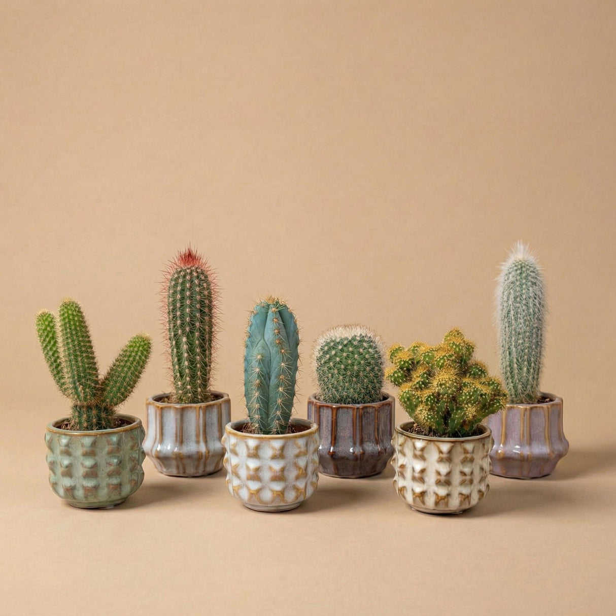 Cactus Set van 6 in Keramische Mini Potjes San Juan -  ↑ 8–12 cm