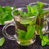 Borderpakket - Thee kruiden - 24 Vaste planten - 3 m2 - Diversen kleuren - Weinig Onderhoud - Pot 11cm