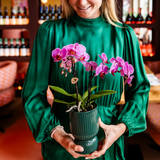 Kolibri Home | Diabolo sierpot | Ø9cm - Green