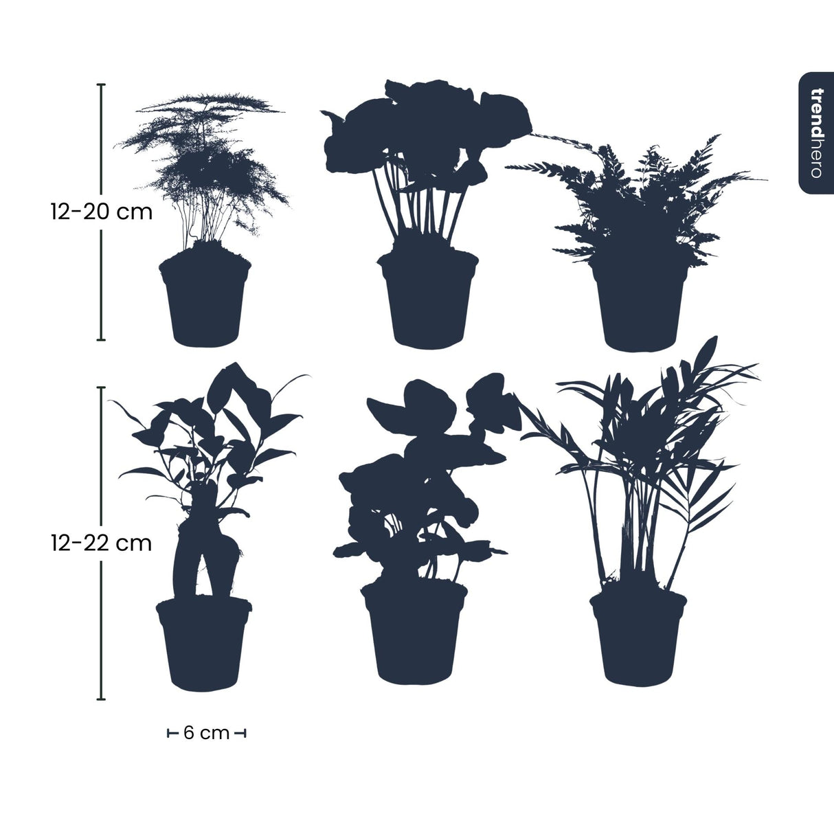 Planten set - Groen - 6 groene planten - potmaat 6