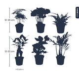 Planten set - Groen - 6 groene planten - potmaat 6