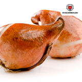 Tulpenbollen Spring Break – 20 Stuks | KH Bloembollen® | Rood-Oranje Tulp – Vurig, Energiek & Opvallend – Voor Tuin of Pot – Maat 11/12 – Vers van de Teler