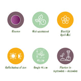 Green boutiQ - Bloembollen - Tulp Double Lilac - Kleur Paars - 50 stuks - Bolmaat 11/12 - XXL Pack