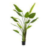 Strelitzia nicolai - 180 cm - En pot noir - Plante artificielle