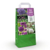 Green boutiQ - Blumenzwiebeln - Zwiebelgarten Allium-Mix - Verschiedene Farben - 80 Stück - Geschenkverpackung
