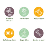 Green boutiQ - Haagplanten - Taxus media Hilii - blad groen - 6 planten - 1 strekkende meter - groenblijvend - pot 17cm hoogte 60cm