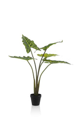 Kunstplant - Alocasia Frydek - Olifantsoor - 80 cm