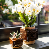 Kolibri Home | Classy Cube sierpot - Ø6cm