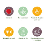 Green boutiQ - Bloembollen - Tulp Triumph Red - Kleur Rood - 15 stuks - Bolmaat 11/12 - XXL Pack