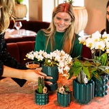 Kolibri Home | Diabolo sierpot | Ø9cm - Green