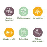 Green boutiQ - Haagplanten - Ligustrum ovalifolium - blad groen - 8 planten - 1 strekkende meter - groenblijvend - pot 9cm hoogte 35-40cm