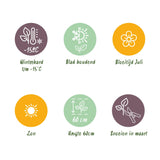 Siergrassen - Uncinia rubra Everflame  - Rood - 2 Planten - Bladhoudend - Weinig Onderhoud - Pot 17cm Hoogte 50cm