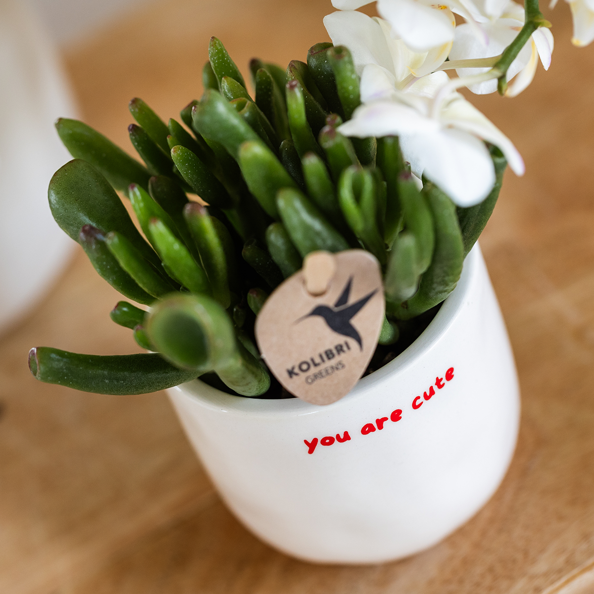 Gift set 'love you' | Rode Phalaenopsis orchidee Congo met groene plant in Love sierpotten op Cloud plate