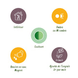 Diefenbachia Tropic Snow - Dieffenbachia - Weinig onderhoud - Groen - 1 Plant - met Potter Grijs - Pot 21cm - Hoogte 90-100cm