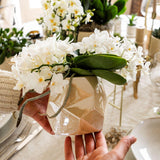 Kolibri Orchids | Witte orchidee 'Nazaré' + Pearl sierpot Travertine - potmaat Ø9cm | bloeiende kamerplant - vers van de kweker