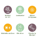 Green boutiQ - Tuinplant - Hibiscus syriacus Woodbridge - Tuin Hibiscus - Winterhard - Roze - 3 Planten - Pot 17cm - Hoogte 45cm
