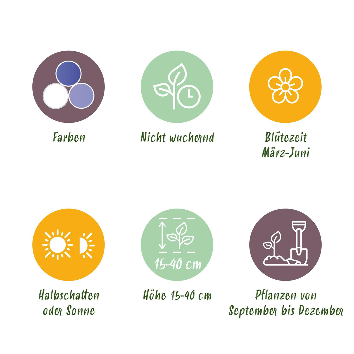 Green boutiQ - Bloembollen - Bulb Garden Blue mix - Diversen soorten - Kleur Blauw - 125 stuks - Gift Verpakking