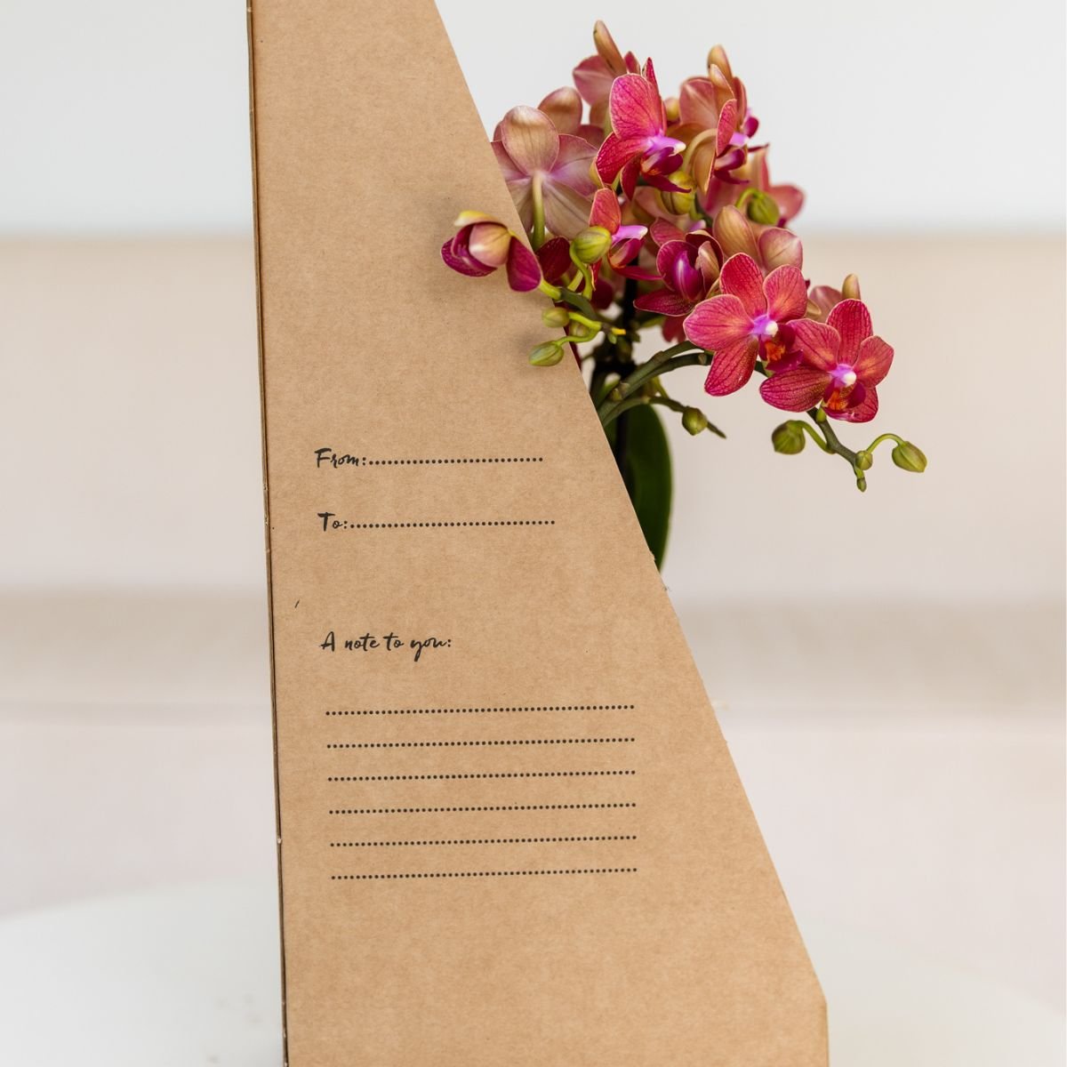 Kolibri Orchids | Witte Phalaenopsis Orchidee - Mineral Amabilis in Glow Travertine Sierpot met Giftbox - Ø9 cm
