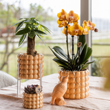 Kolibri Home | Poppy sierpot - Peach - Ø6cm