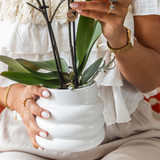 Giftset Large White | Gibraltar orchidee Ø9cm + groene planten – incl. sierpotten, standaard & rieten dienblad – vers van de kweker