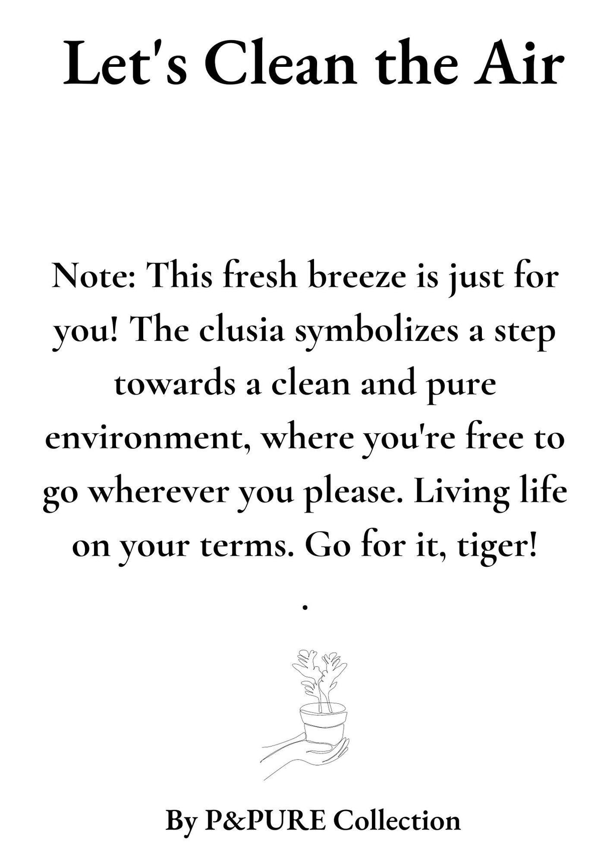 Clusia Rosea Cadeau "Purifions l'air" AVEC CARTE DE VŒUX ! - Ø12cm - ↕30cm