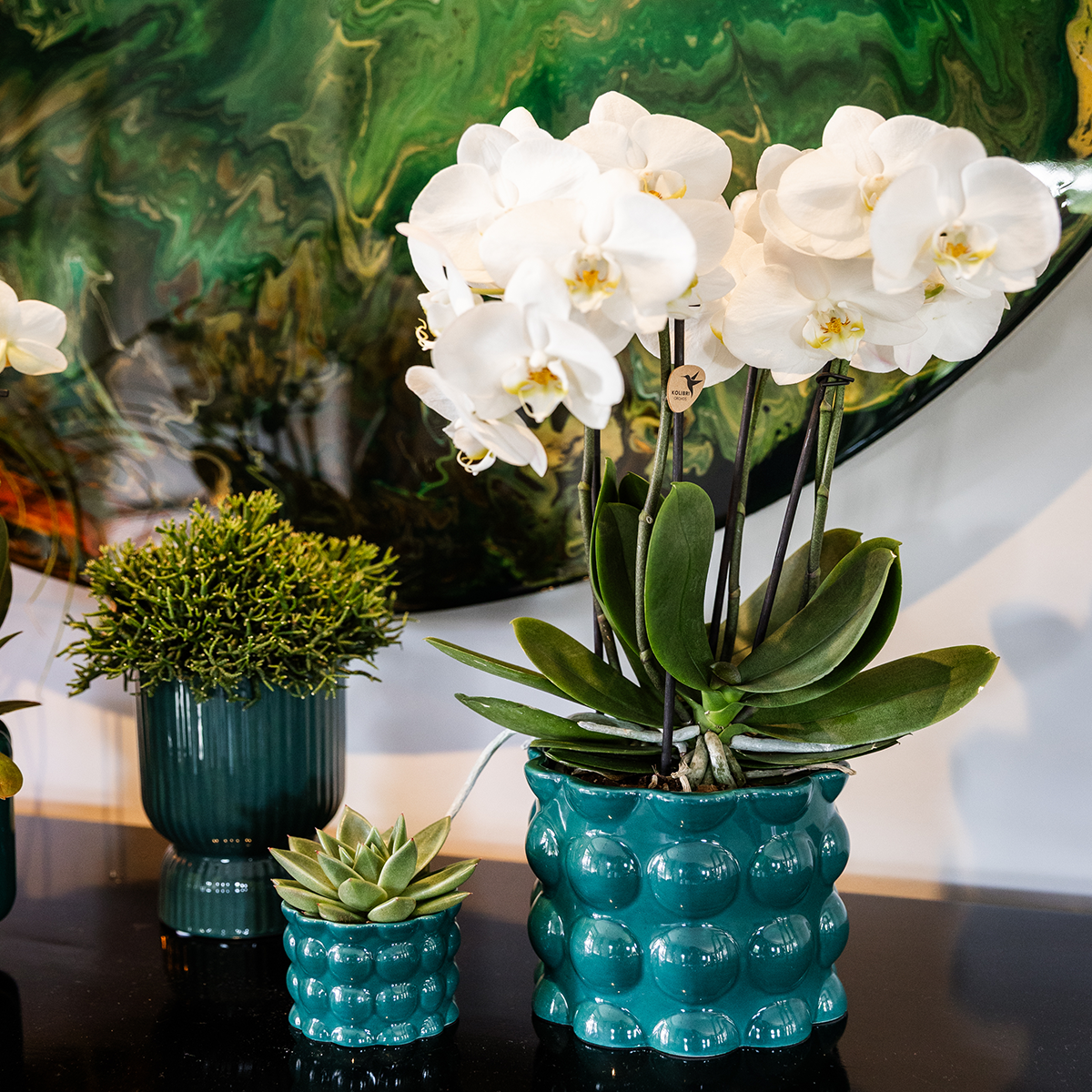 Kolibri Home | Diabolo sierpot | Ø9cm - Green