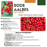 "Vruchten oase" BIO Fruitplanten mix set van 5 verschillende soorten