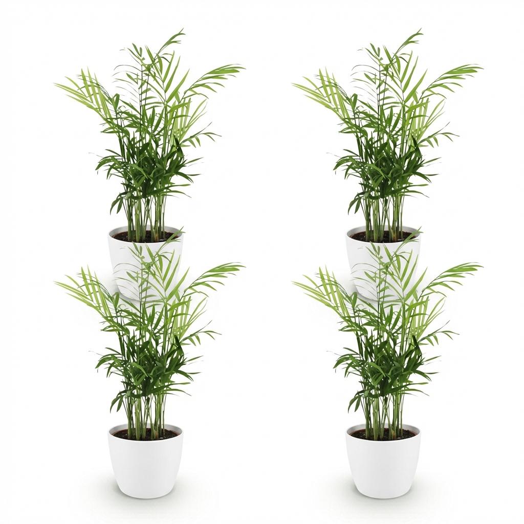 Chamaedorea elegans - Goudpalm - Huisdiervriendelijke Plant - Groen - 4 Planten - met Potter Wit - Pot 12cm - Hoogte 15cm