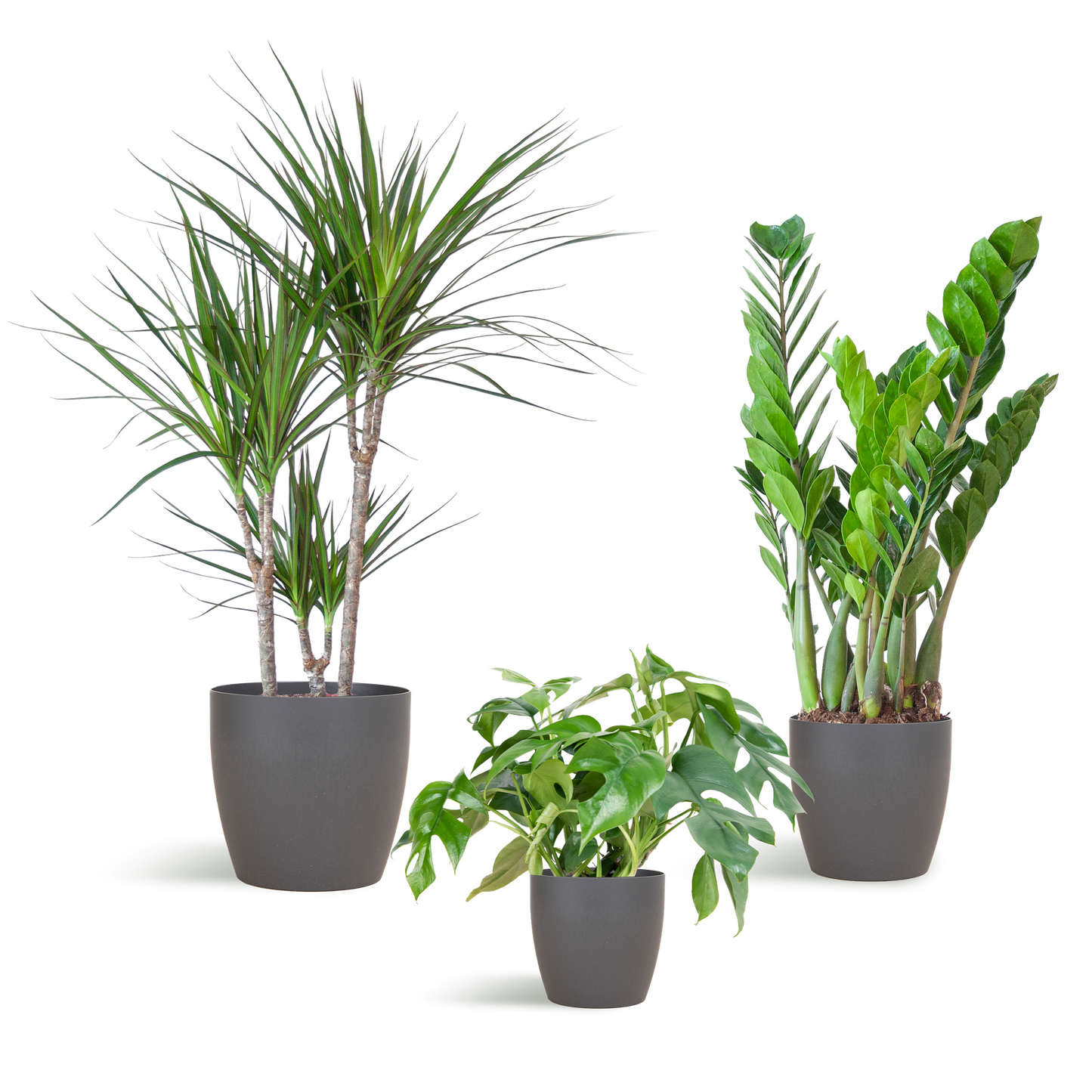 Schaduw Plantenset - incl. potten grijs