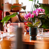 Kolibri Home | Diabolo sierpot | Ø9cm - Green