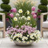 Green boutiQ - Bloembollen - Bulb Garden Pink mix - Diversen soorten - Kleur Roze - 125 stuks - Gift Verpakking