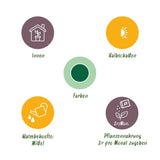 Howea Forsteriana - Kentia Palm - Weinig Onderhoud - Groen - 1 Plant - met Potter Grijs - Pot 21cm - Hoogte 120-130cm