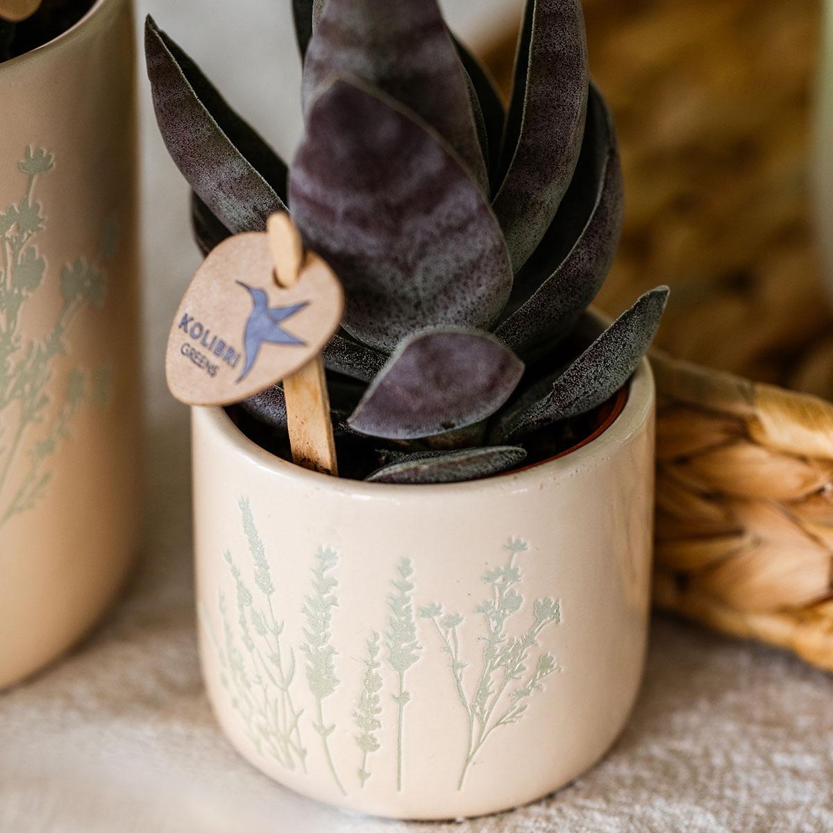 Kolibri Home | Floral bloempot - Light Blue - 6cm