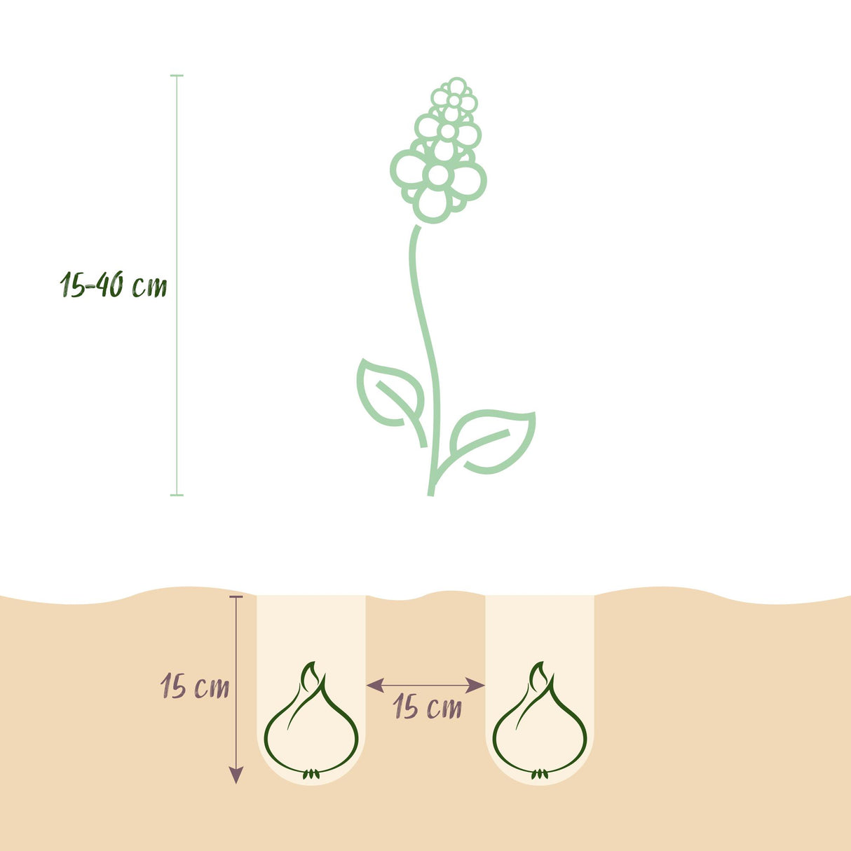 Green boutiQ - Bloembollen - Bulb Garden Blue mix - Diversen soorten - Kleur Blauw - 125 stuks - Gift Verpakking