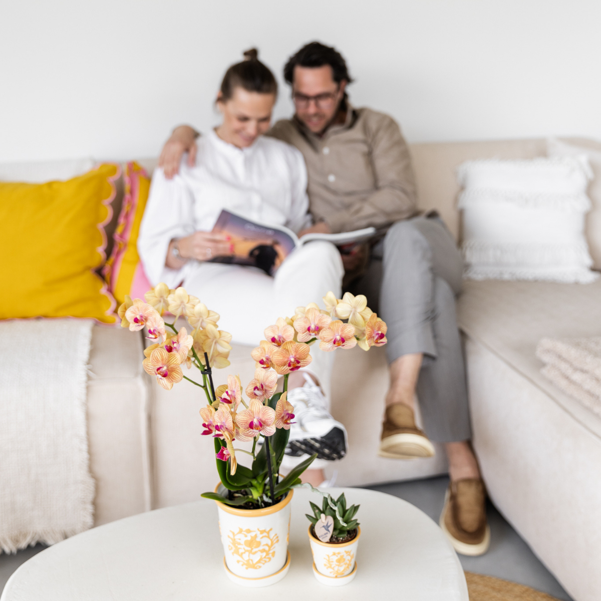 Kolibri Orchids | Gele orchidee Lima + Malaga sierpot licht oranje - potmaat Ø9cm | bloeiende kamerplant - vers van de kweker