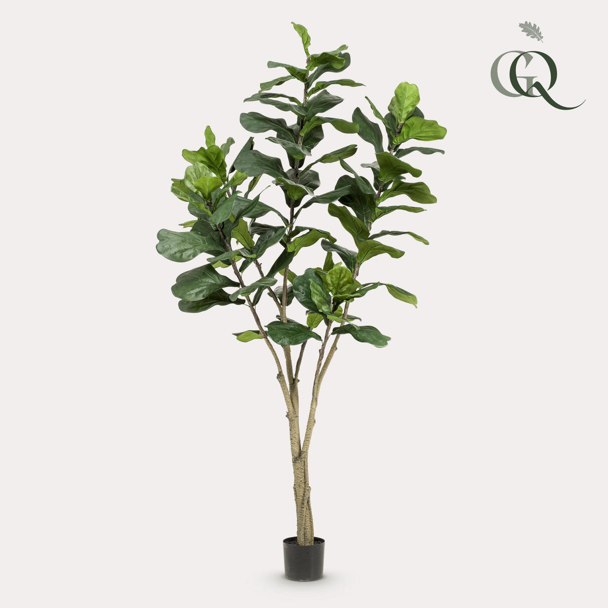 Kunstpflanze - Ficus Lyrata - Tabakpflanze - 210cm