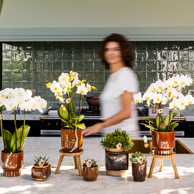 Kolibri Home | Classy Cube sierpot - Ø6cm