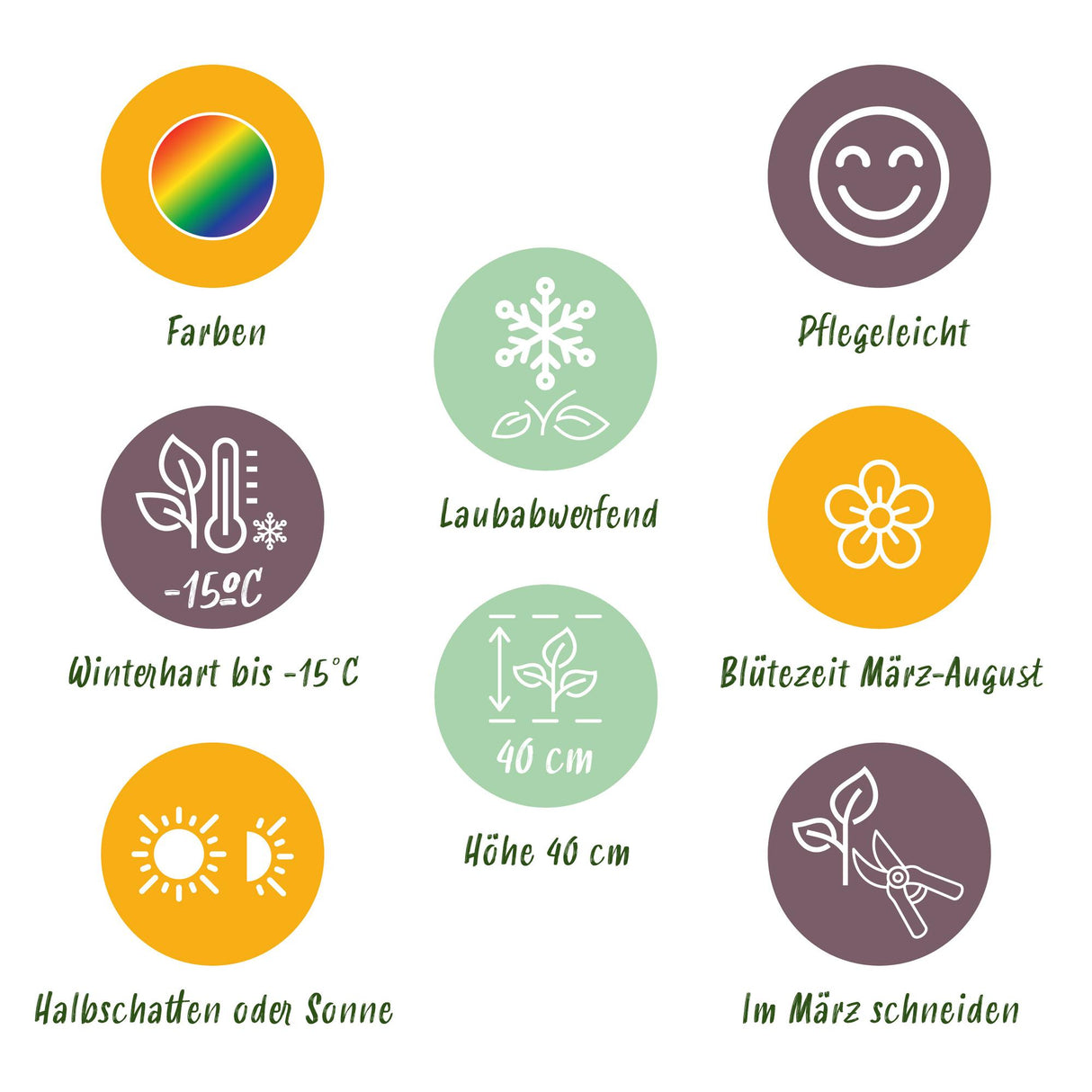 Borderpakket - Bodembedekkend - 24 Vaste planten - 3 m2 - Diversen kleuren - Weinig Onderhoud - Pot 11cm