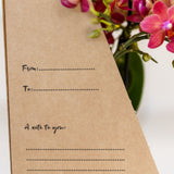 Kolibri Orchids | Witte Phalaenopsis Orchidee - Mineral Amabilis in Elite Sierpot Goud met Giftbox - Ø9 cm