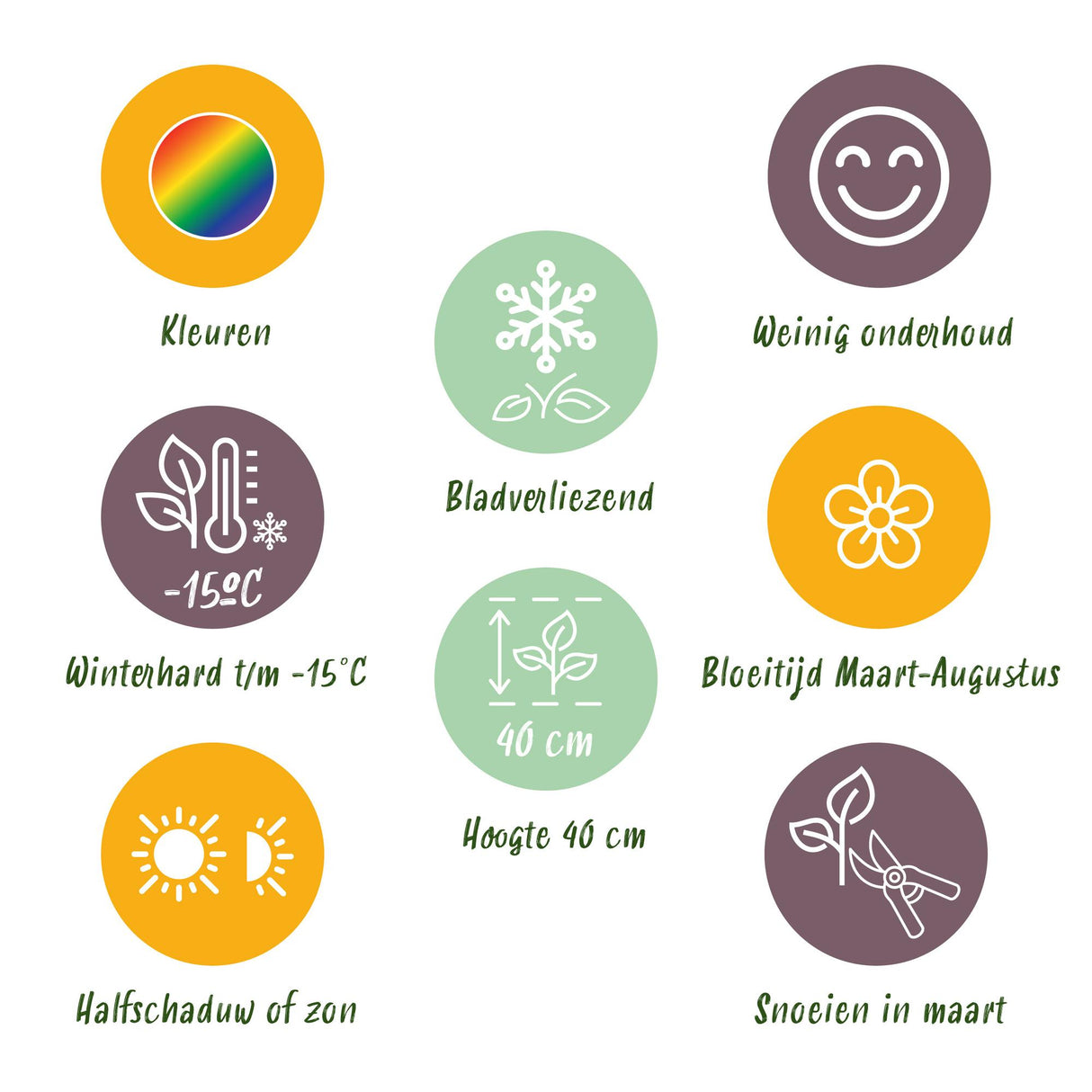 Borderpakket - Bodembedekkend - 8 Vaste planten - 1 m2 - Diversen kleuren - Weinig Onderhoud - Pot 11cm