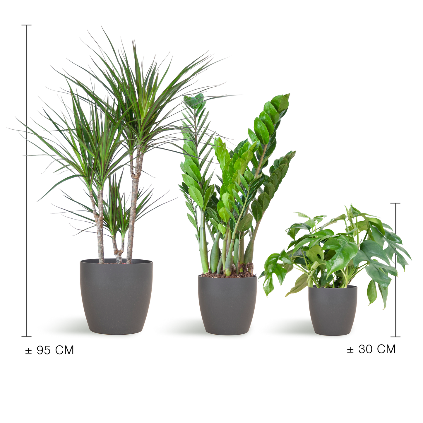 Schaduw Plantenset - incl. potten grijs