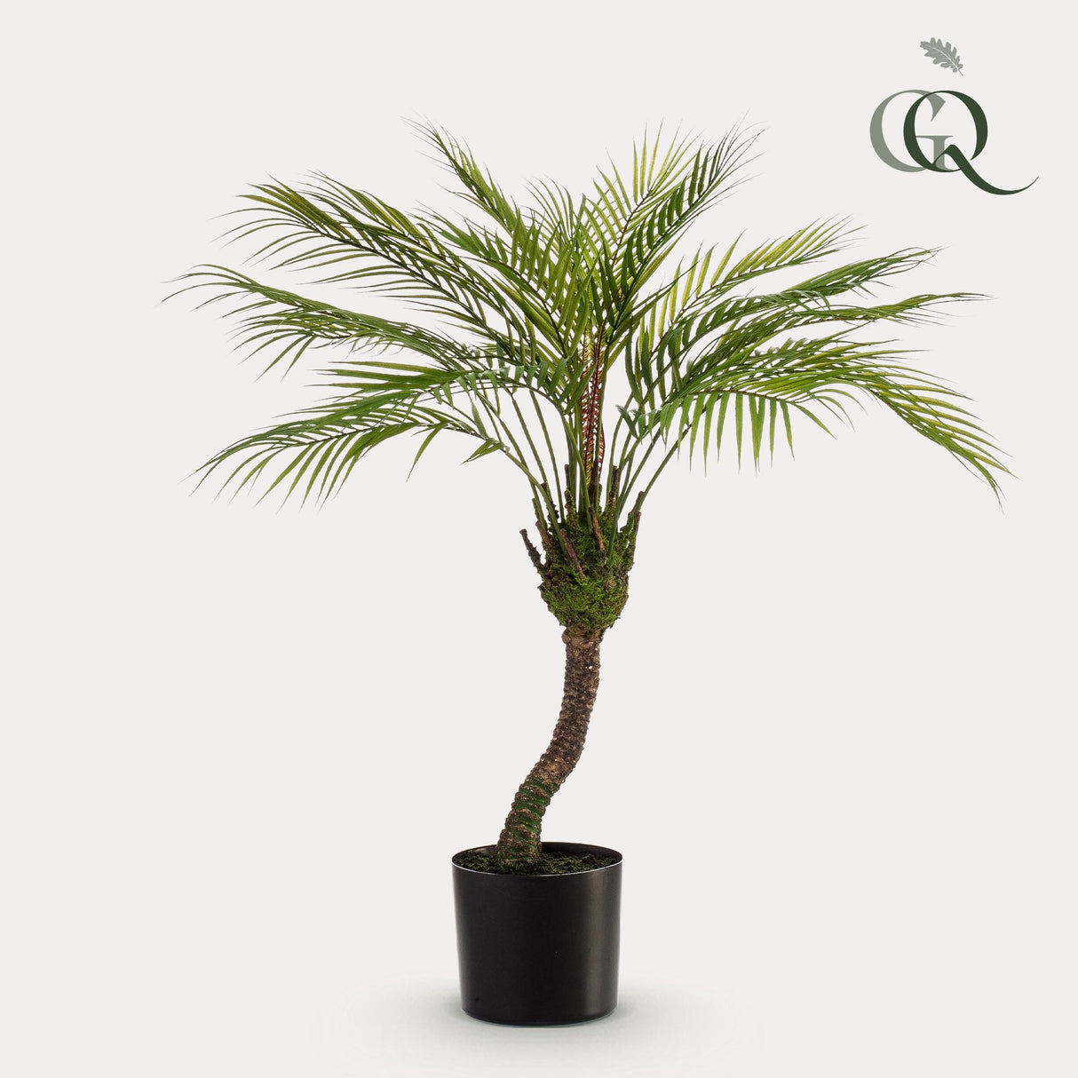 Kunstplant - Chamaedorea - Palmier de montagne - 85 cm
